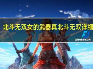 北斗无双女的武器 真北斗无双详细攻略