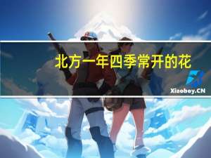 北方一年四季常开的花（北方四季常开的花）