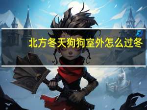 北方冬天狗狗室外怎么过冬
