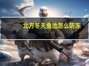 北方冬天鱼池怎么防冻