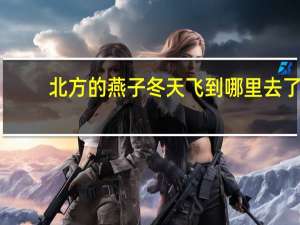 北方的燕子冬天飞到哪里去了