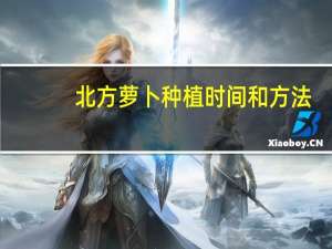 北方萝卜种植时间和方法