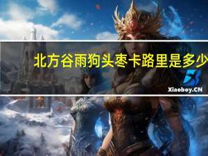 北方谷雨 狗头枣卡路里是多少