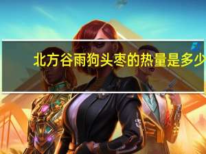 北方谷雨 狗头枣的热量是多少