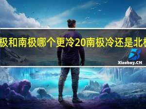 北极和南极哪个更冷 南极冷还是北极比较冷