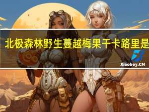 北极森林 野生蔓越梅果干卡路里是多少