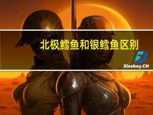 北极鳕鱼和银鳕鱼区别