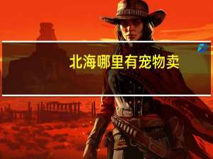 北海哪里有宠物卖