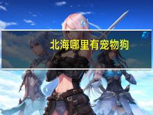 北海哪里有宠物狗