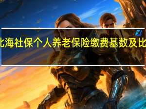 北海社保个人养老保险缴费基数及比例一览