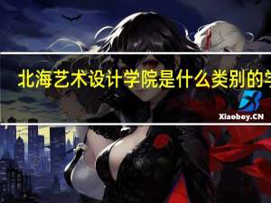 北海艺术设计学院是什么类别的学校