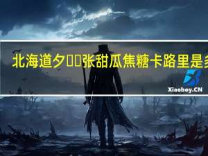 北海道 夕​​张甜瓜焦糖卡路里是多少