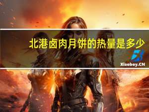北港卤肉月饼的热量是多少
