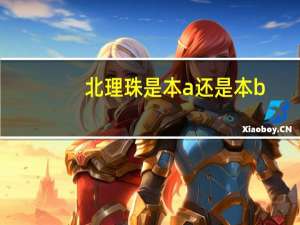 北理珠是本a还是本b