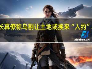 北约秘书长幕僚称乌割让土地或换来“入约” 乌称该想法荒谬