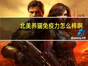 北美养猫免疫力怎么样啊