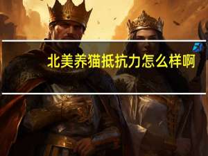 北美养猫抵抗力怎么样啊