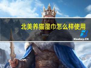北美养猫湿巾怎么样使用