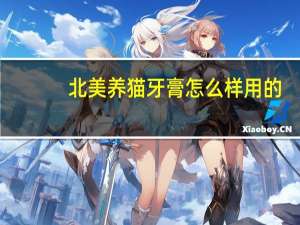 北美养猫牙膏怎么样用的