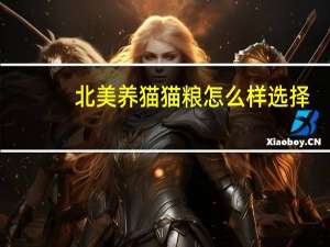 北美养猫猫粮怎么样选择