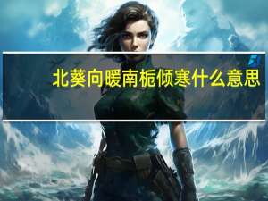 北葵向暖南栀倾寒什么意思