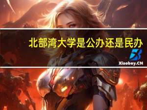 北部湾大学是公办还是民办