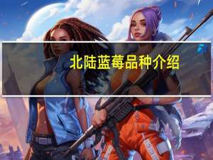 北陆蓝莓品种介绍