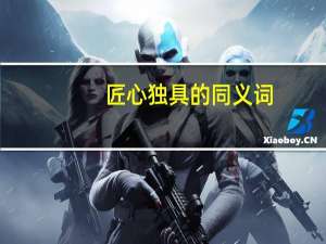 匠心独具的同义词（匠心独具）
