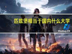 匹兹堡相当于国内什么大学