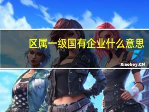 区属一级国有企业什么意思