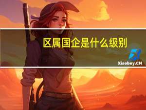 区属国企是什么级别