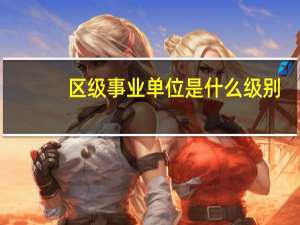 区级事业单位是什么级别