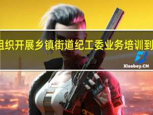 区纪委组织开展乡镇 街道纪 工委业务培训 到底什么情况嘞