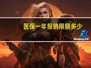 医保一年报销限额多少