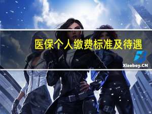医保个人缴费标准及待遇