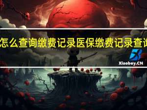 医保缴费怎么查询缴费记录　医保缴费记录查询在哪里可以查