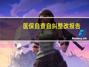 医保自查自纠整改报告