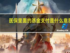 医保里面的基金支付是什么意思