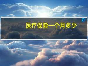 医疗保险一个月多少