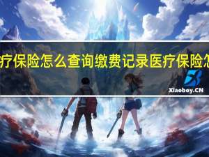 医疗保险怎么查询缴费记录　医疗保险怎么缴费