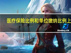 医疗保险比例和单位缴纳比例上海（医疗保险比例）
