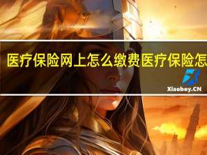 医疗保险网上怎么缴费　医疗保险怎样交