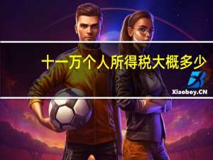十一万个人所得税大概多少