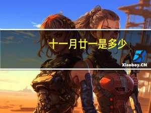 十一月廿一是多少（十一月廿一）