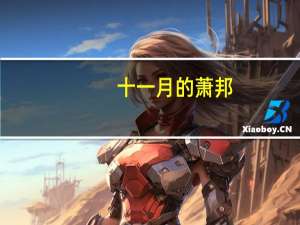 十一月的萧邦（十一月）