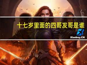 十七岁里面的四哥发哥是谁（四哥发哥是谁）