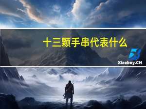 十三颗手串代表什么
