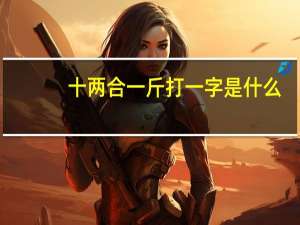 十两合一斤打一字是什么（十两合一斤打一字）