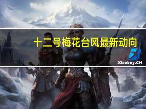 十二号梅花台风最新动向（台风最新动向）