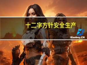 十二字方针安全生产（十二字方针是什么）